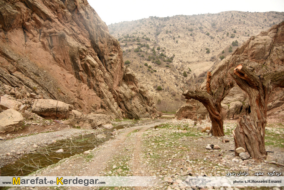 اماکن گردشگری مشهد